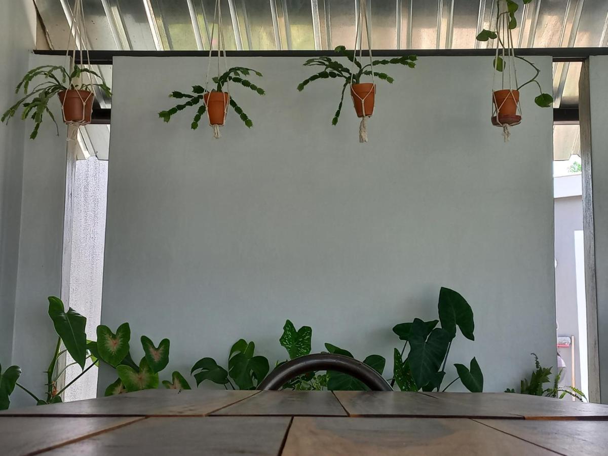 Urban Farm Haus Guesthouse Rundu Exterior photo